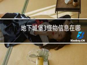 地下城堡3怪物信息在哪