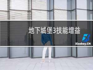 地下城堡3技能增益