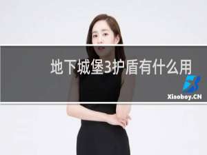 地下城堡3护盾有什么用