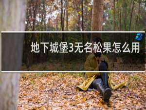 地下城堡3无名松果怎么用