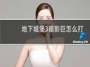 地下城堡3暗影巨怎么打