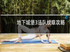 地下城堡3法队纹章攻略