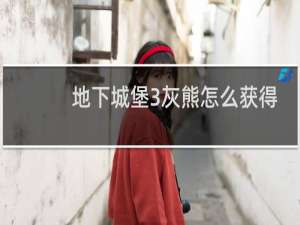 地下城堡3灰熊怎么获得