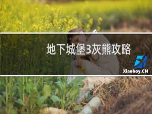 地下城堡3灰熊攻略