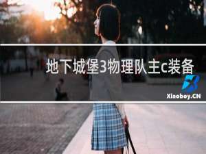 地下城堡3物理队主c装备