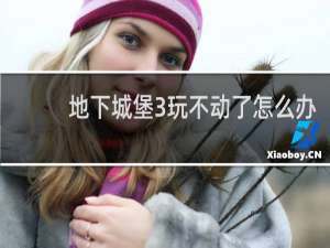 地下城堡3玩不动了怎么办