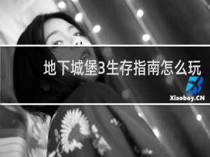 地下城堡3生存指南怎么玩