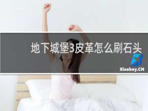 地下城堡3皮革怎么刷石头