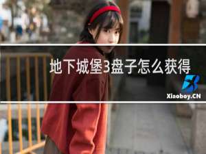 地下城堡3盘子怎么获得