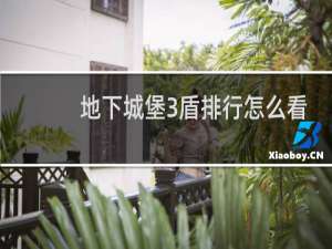 地下城堡3盾排行怎么看