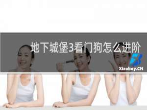 地下城堡3看门狗怎么进阶