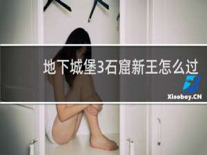 地下城堡3石窟新王怎么过