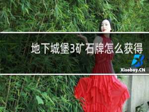 地下城堡3矿石牌怎么获得