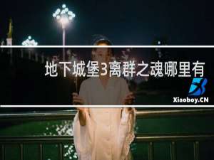 地下城堡3离群之魂哪里有