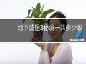 地下城堡3秘境一共多少级