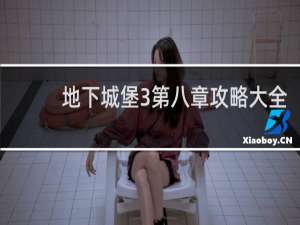 地下城堡3第八章攻略大全