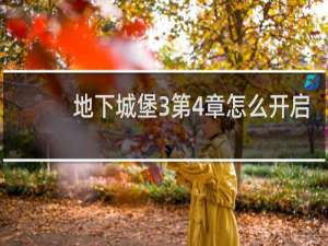 地下城堡3第4章怎么开启