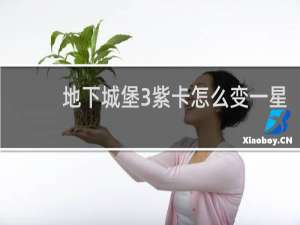 地下城堡3紫卡怎么变一星