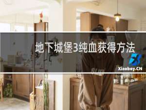 地下城堡3纯血获得方法