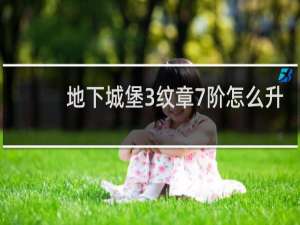 地下城堡3纹章7阶怎么升