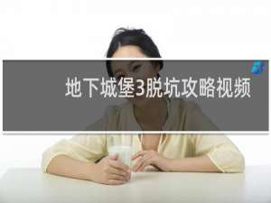 地下城堡3脱坑攻略视频