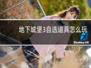 地下城堡3自选道具怎么玩