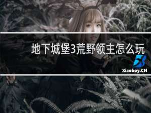 地下城堡3荒野领主怎么玩