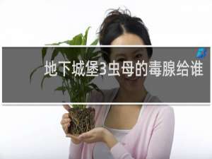 地下城堡3虫母的毒腺给谁