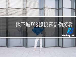 地下城堡3蝮蛇还是伪装者