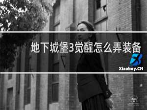 地下城堡3觉醒怎么弄装备