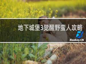 地下城堡3觉醒野蛮人攻略