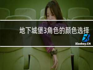 地下城堡3角色的颜色选择