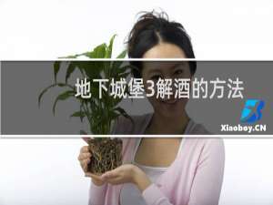 地下城堡3解酒的方法
