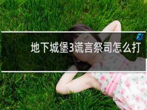 地下城堡3谎言祭司怎么打