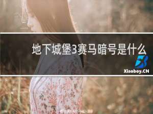 地下城堡3赛马暗号是什么