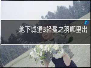 地下城堡3轻盈之羽哪里出