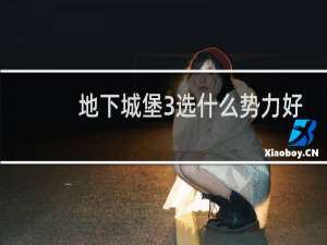 地下城堡3选什么势力好