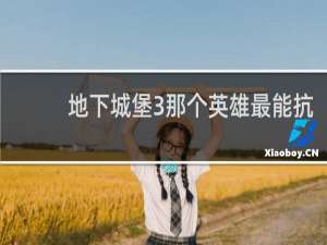 地下城堡3那个英雄最能抗