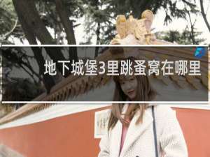 地下城堡3里跳蚤窝在哪里