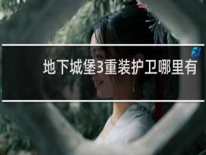 地下城堡3重装护卫哪里有