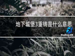 地下城堡3重铸是什么意思