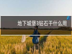 地下城堡3钻石干什么用