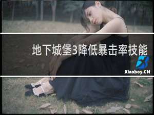 地下城堡3降低暴击率技能