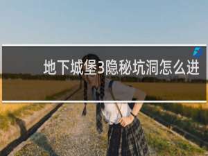 地下城堡3隐秘坑洞怎么进