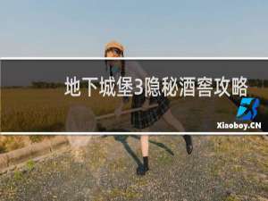 地下城堡3隐秘酒窖攻略