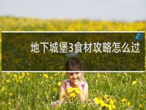 地下城堡3食材攻略怎么过