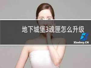 地下城堡3魂匣怎么升级
