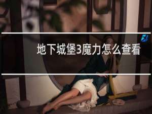 地下城堡3魔力怎么查看
