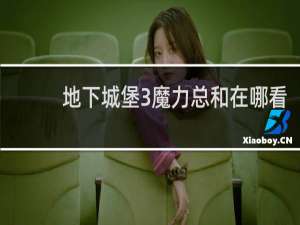 地下城堡3魔力总和在哪看