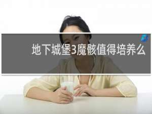 地下城堡3魔骸值得培养么